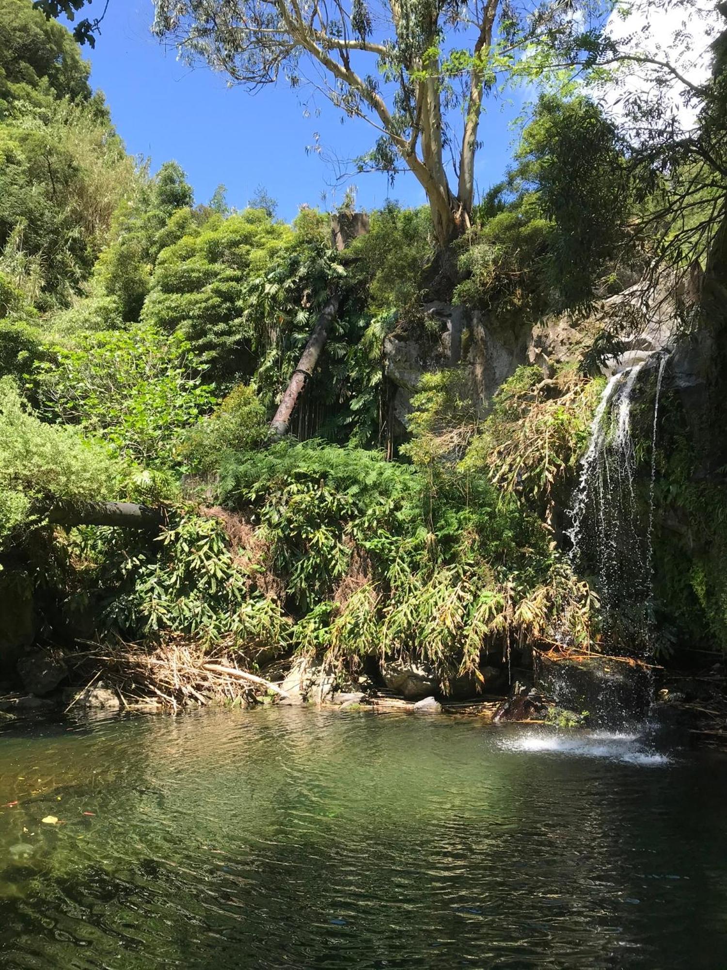 Casa Da Cascata Do Segredo Διαμέρισμα Água de Alto Εξωτερικό φωτογραφία